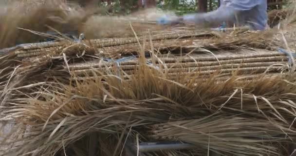 Karavanın Tepesine Saman Çatıları Yakın Plan Yerleştirilmiş — Stok video
