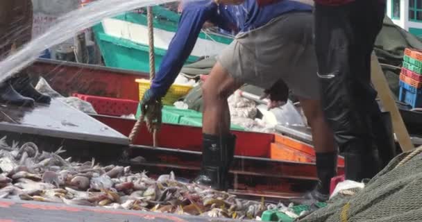 漁船の保有から魚がいっぱいのプラスチックバレルを持ち上げる漁師の近く — ストック動画
