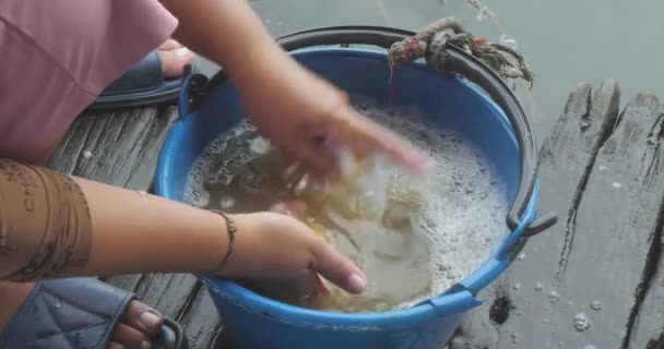 Close Woman Opened Fresh Asian Asian Scallop Its Shell — Stok Video