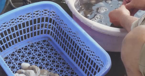 Bläckfisknäbben Ligger Mitten Tentaklerna Man Tar Bort Den Genom Att — Stockvideo