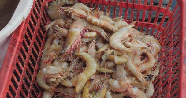Les Crevettes Sont Mises Dans Panier Après Nettoyage — Video