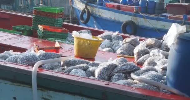 Рибальський Човен Прибуває Порту Його Палуба Завантажена Рибними Поліетиленовими Пакетами — стокове відео
