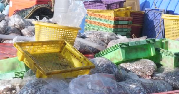Nahaufnahme Eines Wippenden Fischerbootes Dessen Deck Mit Plastiktüten Voller Fische — Stockvideo