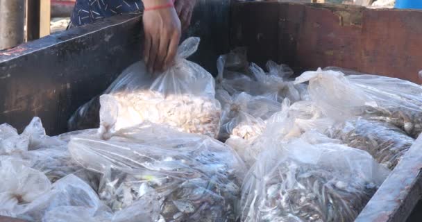 Balıkçı Karavana Içi Balık Dolu Plastik Torbalar Koyar — Stok video