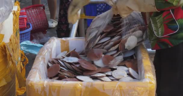 Detailní Záběr Ženy Nalévající Čerstvé Asijské Hřebenatky Lasturách Polystyrenové Krabice — Stock video