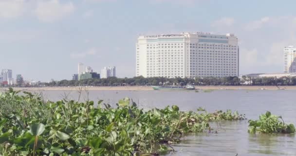 Nahaufnahme Einer Wasserhyazinthe Fluss Mit Phnom Penh Hintergrund — Stockvideo