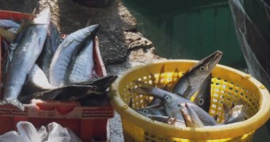 Balıkçı limanındaki rıhtımda plastik bir sandık ve sepetin içindeki deniz mızraklarının yakın çekimi.