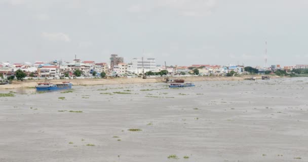 배경에 프놈펜 바지선 보트의 수도와 표면에 Hyacinth의 두꺼운 플로트 — 비디오
