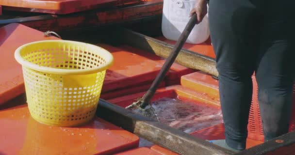 Рыбак Использует Сеть Достать Измельченный Лед Холодильника Лодки Наполненного Рыбой — стоковое видео