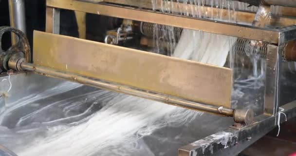 Close Machine Making Rice Noodles — Stock Video