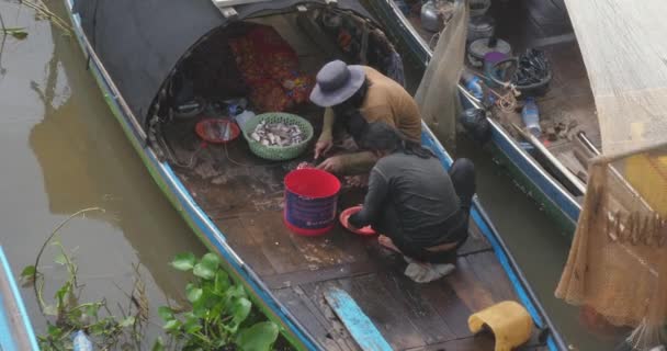 柬埔寨金边 2023 一名渔民和一名妇女在停泊在河岸的小船上的圆木木板上割鱼 — 图库视频影像
