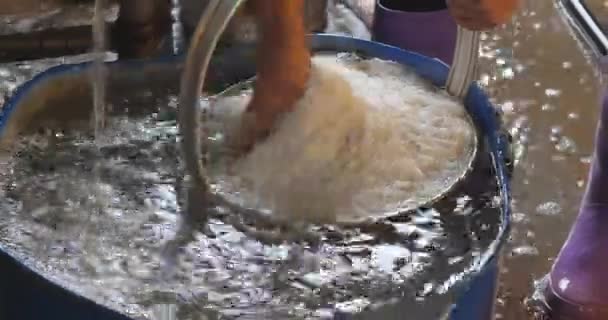 Крупним Планом Чоловік Промиває Рисову Локшину Водою Відрі Перш Ніж — стокове відео