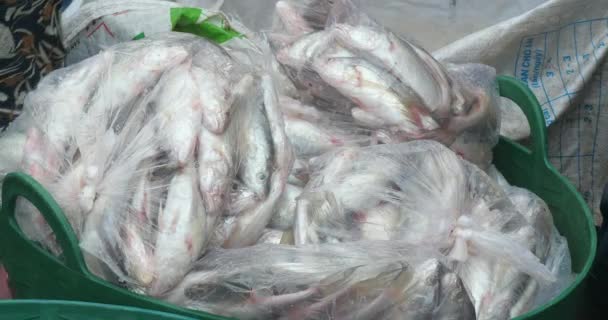 Los Pescaderos Cargan Cesta Plástico Con Bolsas Plástico Llenas Peces — Vídeos de Stock