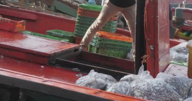 Sihanoukville, Kamboçya - 06.09.2023; teknenin güvertesinde içi balık dolu plastik torbalarla dolu bir balıkçı teknesinin ambarını kapatın.