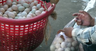 Torbayı güvenli bir şekilde kapatmadan önce plastik bir sepetten ördek yumurtalarını dikkatlice seçip plastik bir torbaya koyuyor..
