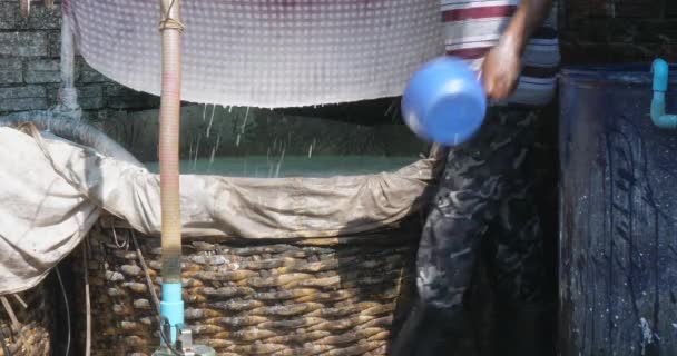 労働者は穏やかに米粉をふるうためにクラーマの布をタップします — ストック動画