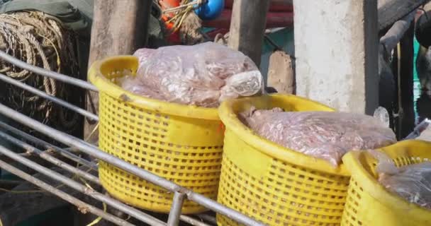 클로즈업은 물고기로 채워진 봉투로 넘쳐나는 플라스틱 바구니를 보여주고 물고기로 채워진 — 비디오