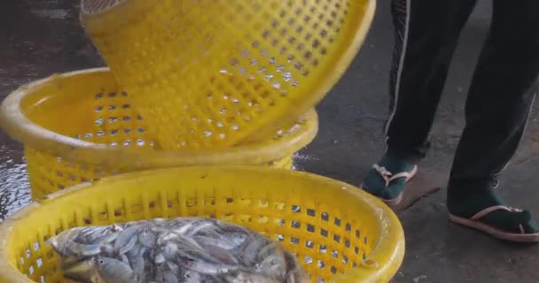 Close Trabalhador Descarrega Sacos Plástico Branco Cheio Peixes Transfere Los — Vídeo de Stock