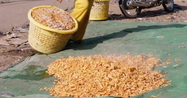Женщина Наливает Приготовленные Креветки Пластиковой Корзины Брезент Высохнуть Солнце — стоковое видео