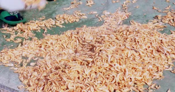 Extreme Close Woman Scatters Cooked Shrimps Tarp Dry Sun — Stock Video
