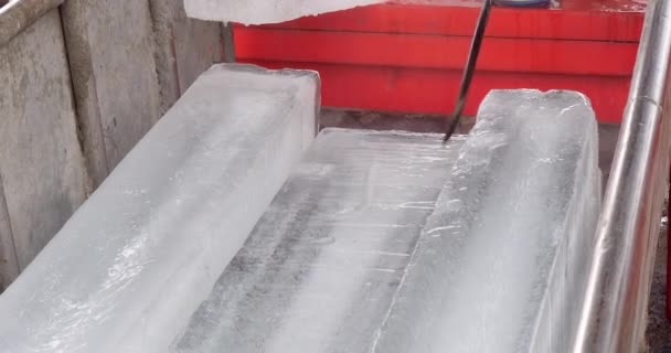トレーラー内の2ブロックの氷をロードする労働者のクローズアップ — ストック動画