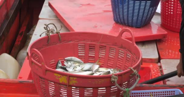 Primer Plano Pescador Descargando Pescado Gran Refrigerador Barco Pesca Una Vídeo De Stock