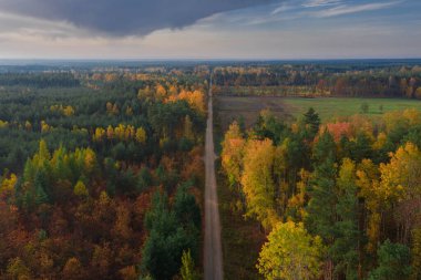 Karışık, kozalaklı yaprak döken bir ormanla kaplı uçsuz bucaksız bir ova. Ortasında çakıllı bir yol var. Sonbaharda yapraklar sarı ve kahverengi renktedir. İHA 'dan fotoğraf..