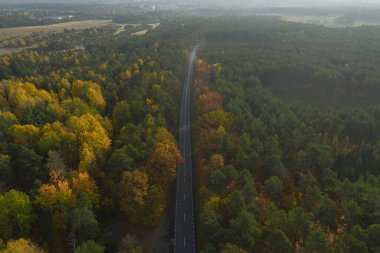 Karışık, kozalaklı yaprak döken bir ormanla kaplı uçsuz bucaksız bir ova. Ortasında bir asfalt yol var. Sonbaharda yapraklar sarı ve kahverengi renktedir. İHA 'dan fotoğraf..