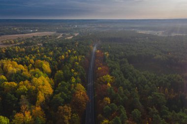 Karışık, kozalaklı yaprak döken bir ormanla kaplı uçsuz bucaksız bir ova. Ortasında bir asfalt yol var. Sonbaharda yapraklar sarı ve kahverengi renktedir. İHA 'dan fotoğraf..