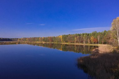 Su deposu, ormandaki üreme göleti. Sonbahar, ağaçlardaki yapraklar sarı ve kahverengidir. Güneşli bir gün, gökyüzü açık. Fotoğraf bir İHA ile çekildi..