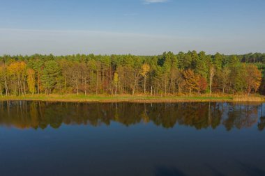 Su deposu, ormandaki üreme göleti. Sonbahar, ağaçlardaki yapraklar sarı ve kahverengidir. Güneşli bir gün, gökyüzü açık. Fotoğraf bir İHA ile çekildi..