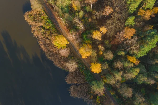 Stock image Water reservoir, breeding pond located in the forest. It is fall, the leaves on the trees are yellow and brown in color. It's a sunny day, the sky is clear. The photo was taken with a drone.