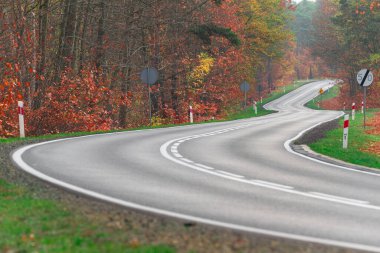 Asfalt yol, yavaşça kıvrımlı. Omuzları yeşil çimlerle kaplı ve arka planda bir orman var. Sonbahar, ağaçlardaki yapraklar sarı, kırmızı ve kahverengi renkte..