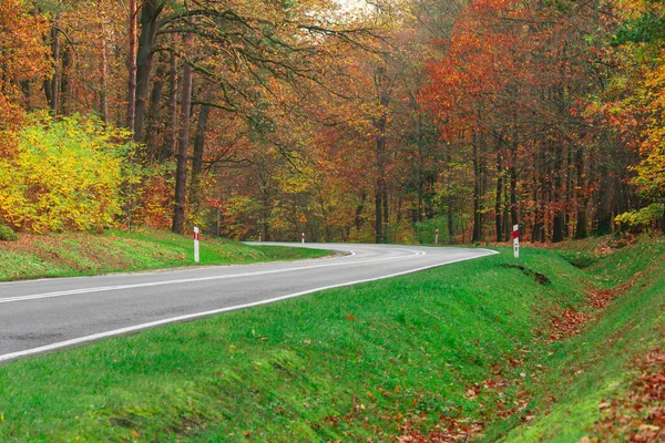 stock image Asphalt road, gently curving. The shoulders are covered with green grass, with a forest in the background. It is fall, the leaves on the trees are yellow, red and brown in color.