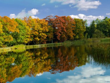 Gölün pürüzsüz yüzeyi. Kıyı, gölün yüzeyine yansıyan uzun yaprak döken ağaçlarla kaplıdır. Sonbahar geldi, ağaçlardaki yapraklar sarı, kahverengi ve kırmızıya döndü. Güneşli bir gün..