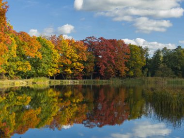 Gölün pürüzsüz yüzeyi. Kıyı, gölün yüzeyine yansıyan uzun yaprak döken ağaçlarla kaplıdır. Sonbahar geldi, ağaçlardaki yapraklar sarı, kahverengi ve kırmızıya döndü. Güneşli bir gün..