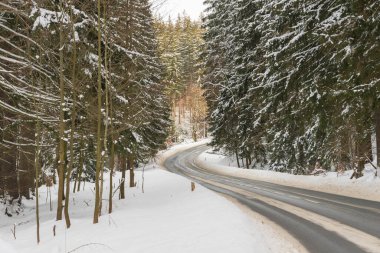 Sudety eteklerindeki asfalt yolda. Kış geldi, yol yüzeyi, zemin ve her iki tarafta büyüyen ağaçların taçları karla kaplı..