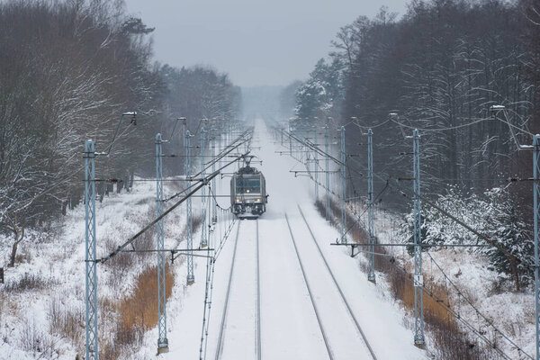 Double-track railway. There is a forest on both sides. The ground and trees are covered with a layer of white snow. A locomotive is running on the tracks.
