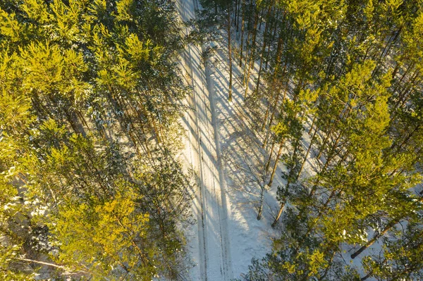 从很高的地方可以看到冬季的松树林 与无人机合影 树梢是绿色的 树间的地面上覆盖着一层白雪 — 图库照片
