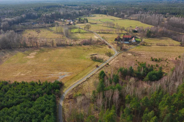 A vast forest clearing surrounded by a pine forest. In the clearing you can see the roofs of a few buildings to which a narrow, gray road leads. The photo was taken using a drone.