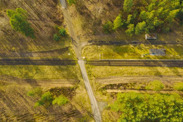 Egy Hatalmas Síkság Fenyőerdővel Borítva Fákon Keresztül Egyetlen Egyenes Vasúti — Stock Fotó