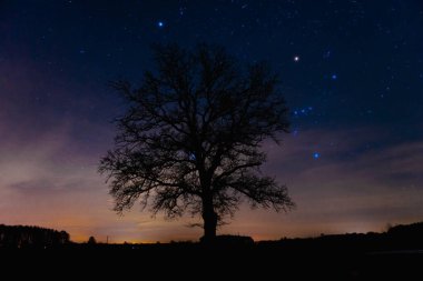 Gece, hafif bulutlu gökyüzü. Bir kış gecesinde yapraksız, çıplak ağaç dalları. Arka planlarında parlak, parlak yıldız, gezegen ve takımyıldızlarla kaplı karanlık bir gök kubbe var. Ufukta süzülen ışık bulutları.