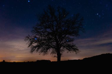 Gece, hafif bulutlu gökyüzü. Bir kış gecesinde yapraksız, çıplak ağaç dalları. Arka planlarında parlak, parlak yıldız, gezegen ve takımyıldızlarla kaplı karanlık bir gök kubbe var. Ufukta süzülen ışık bulutları.