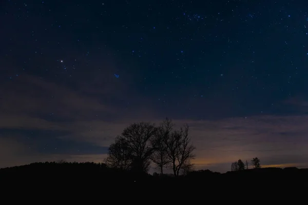 밤에는 구름낀 하늘입니다 밤에는 가지들이 그들의 배경에 비추어 과행성 의점들로 — 스톡 사진