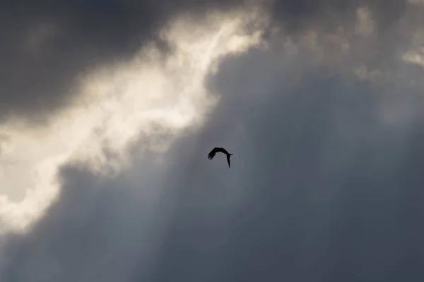 Eine Dunkle Düstere Und Bedrohliche Wolke Die Den Himmel Teilweise — Stockfoto