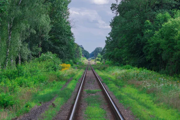 Eisenbahnlinie Durch Den Wald Die Blätter Der Bäume Sind Grün — Stockfoto
