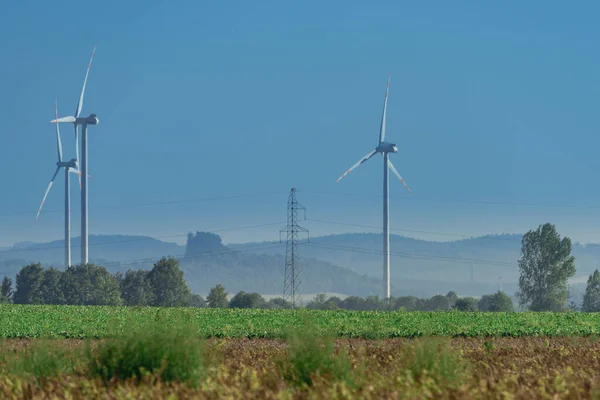 Wind power plants standing on flat terrain, in the Sudetes foothills. The sun is shining, the sky is cloudless. Misty, indistinct mountains can be seen on the horizon.