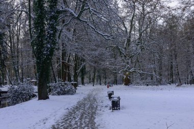 Kışın park et. Ortasında bir park yolu var. Ağaçlar, zemin, banklar ve sokak lambaları karla kaplı. Sokak kardan temizlendi..