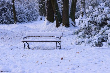 Kışın park et. Park sokağı, zemin, yakındaki çalılar ve ağaçlar karla kaplı. Ortasında da karla kaplı bir park bankı görebilirsiniz..