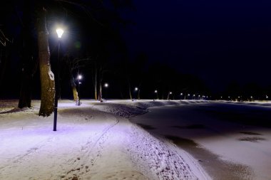 Gece vakti, kış manzarasında bir gölet. Göletin yüzeyi buzla kaplıdır, kıyı beyaz kar tabakasıyla kaplıdır. Gölün etrafında bir patika var. Banklar ve fenerler var..